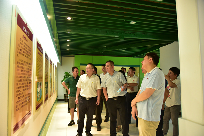 市政分公司黨總支、合肥市重點局直屬黨委第二黨支部聯(lián)合開展主題黨日活動3