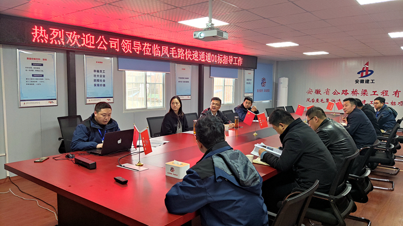 公司黨委副書記、工會主席王勝利到鳳毛快速通道01標檢查指導工作